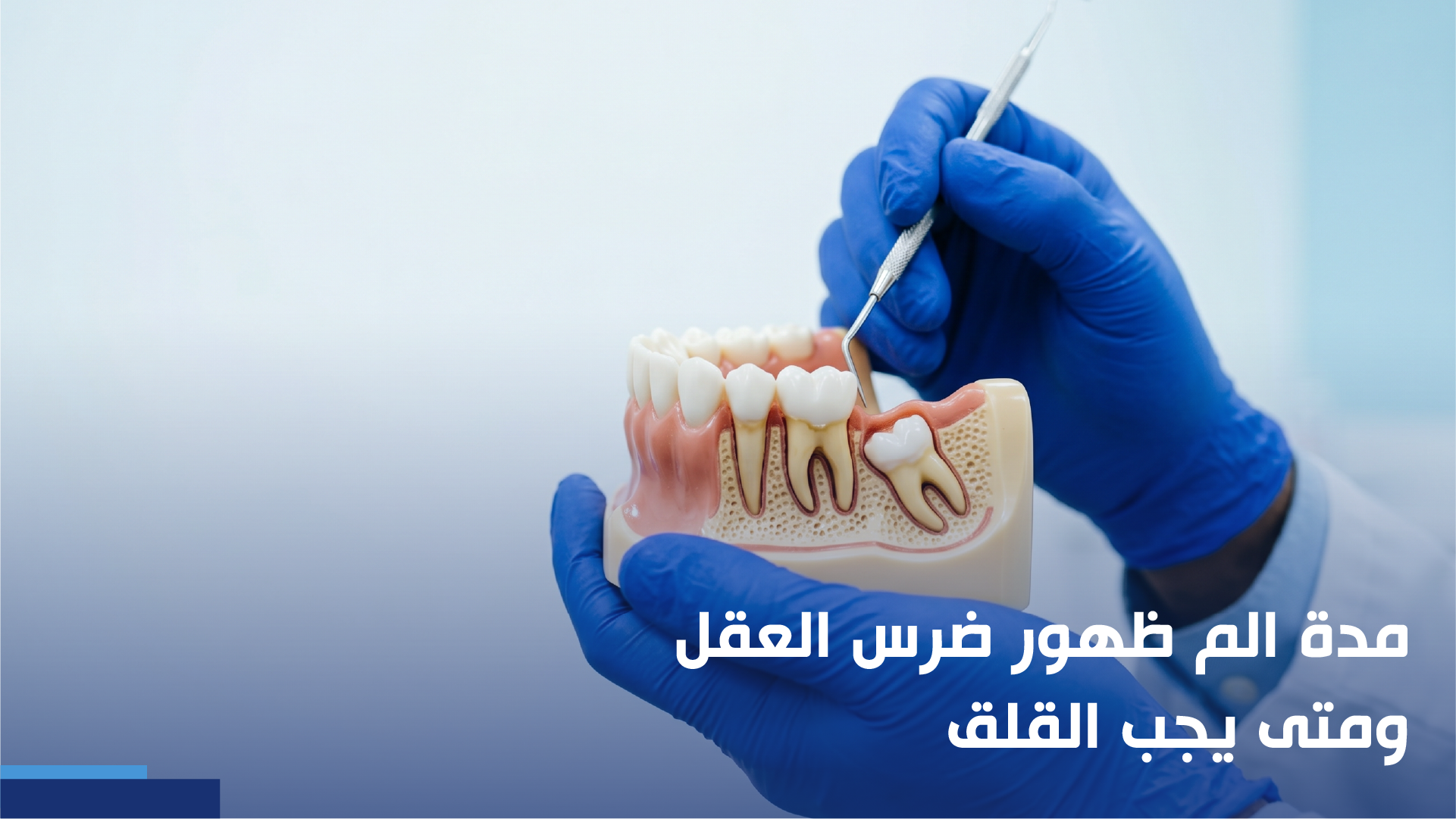 مدة الم ظهور ضرس العقل